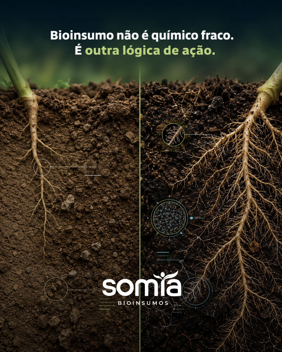 Peça de feed da SOMIA Bioinsumos