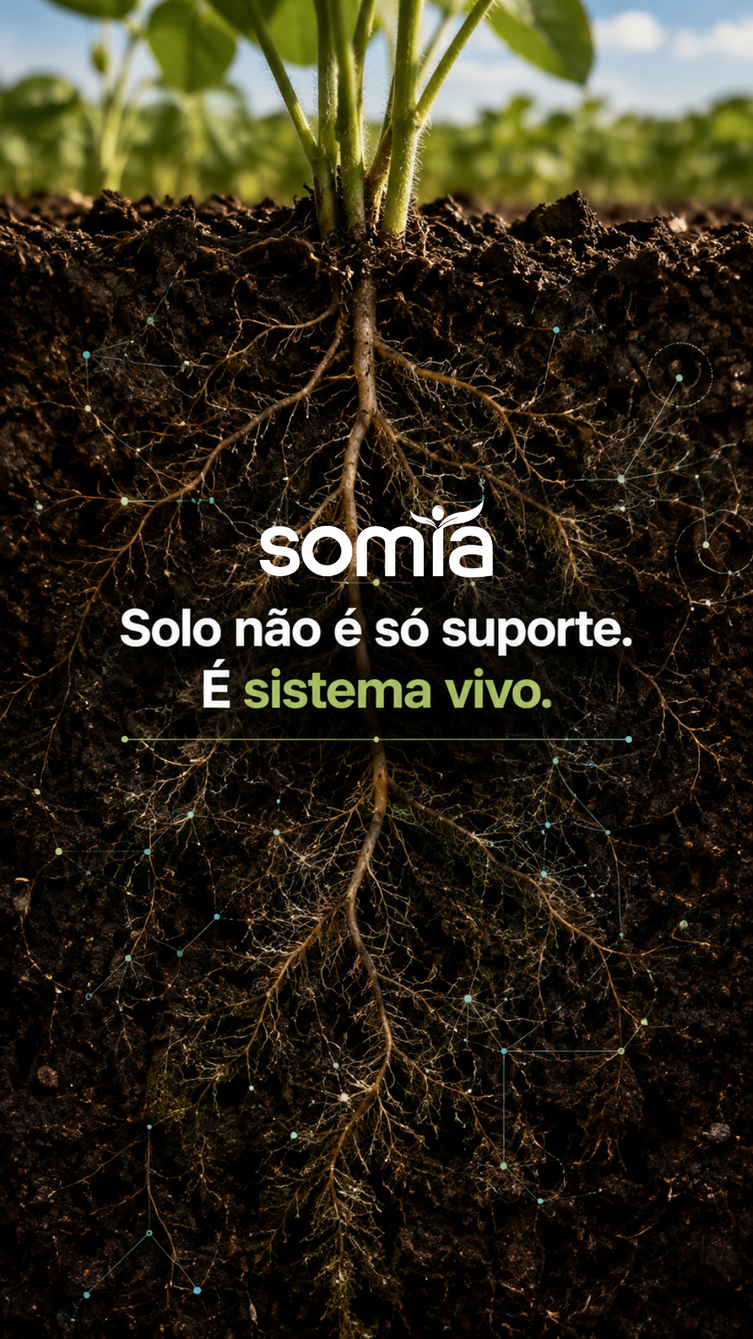 Peça vertical da SOMIA Bioinsumos