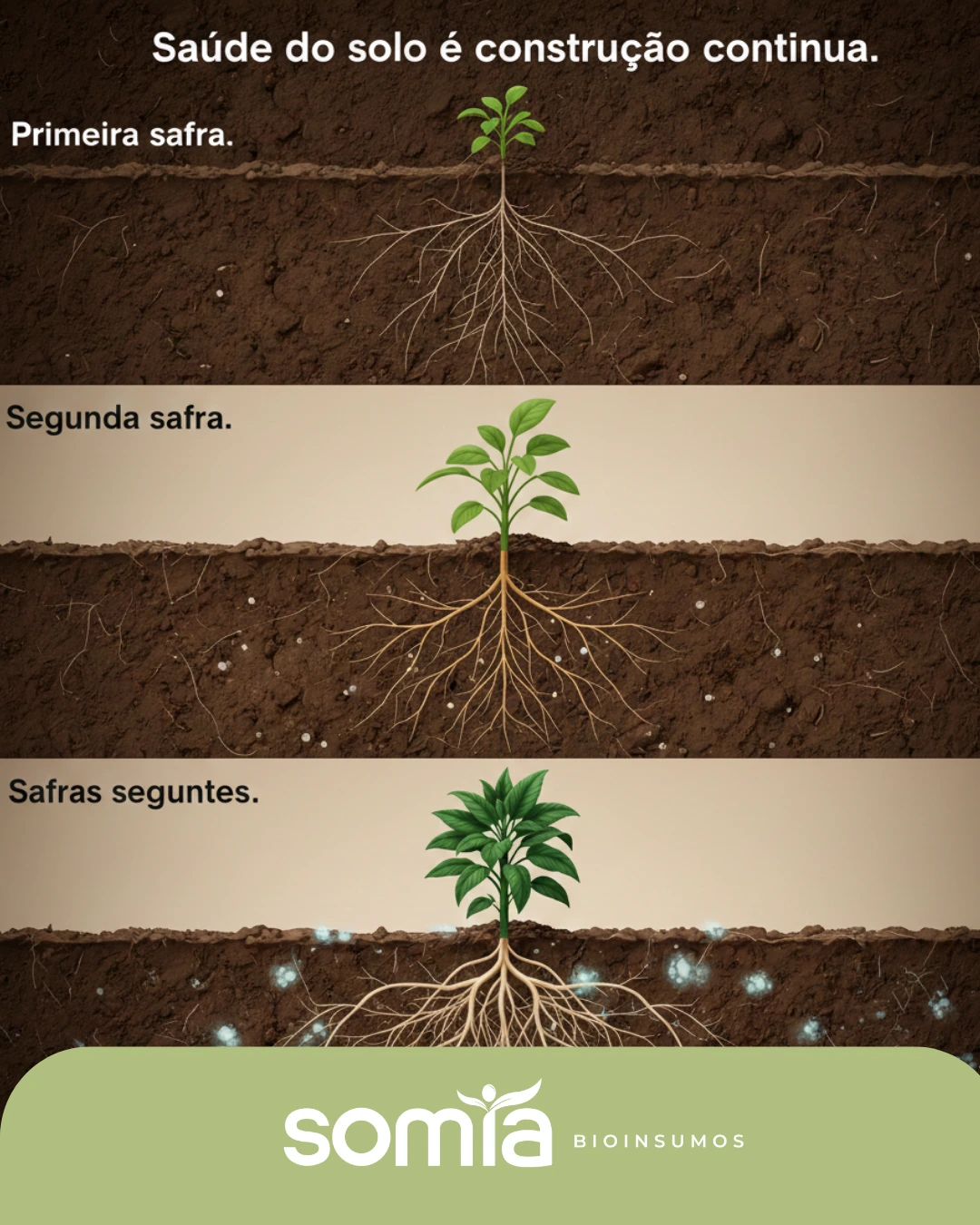 Peça SOMIA sobre prevenção e desenvolvimento da planta