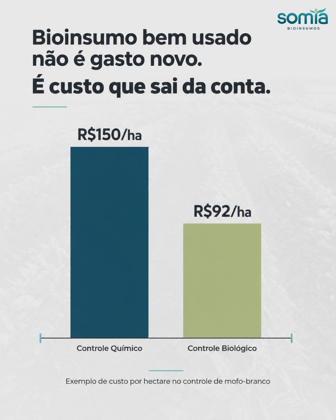 Gráfico comparativo em peça da SOMIA
