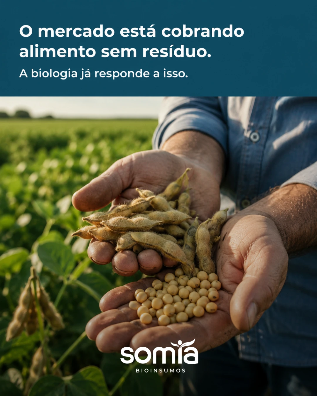 Peça SOMIA com grãos nas mãos
