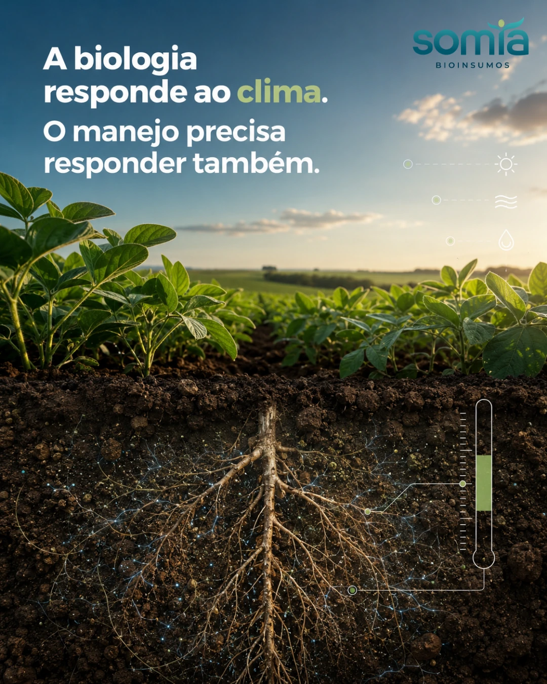 Peça SOMIA sobre biologia e clima